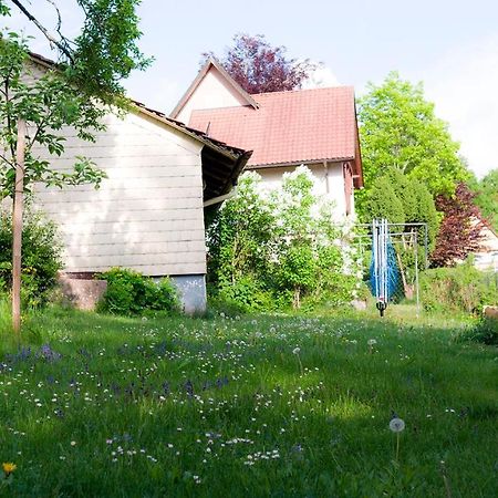 Entire House In Schwarzwald With Mountain View, Private Gym,Sauna And Garden Villa Unterkirnach Ngoại thất bức ảnh