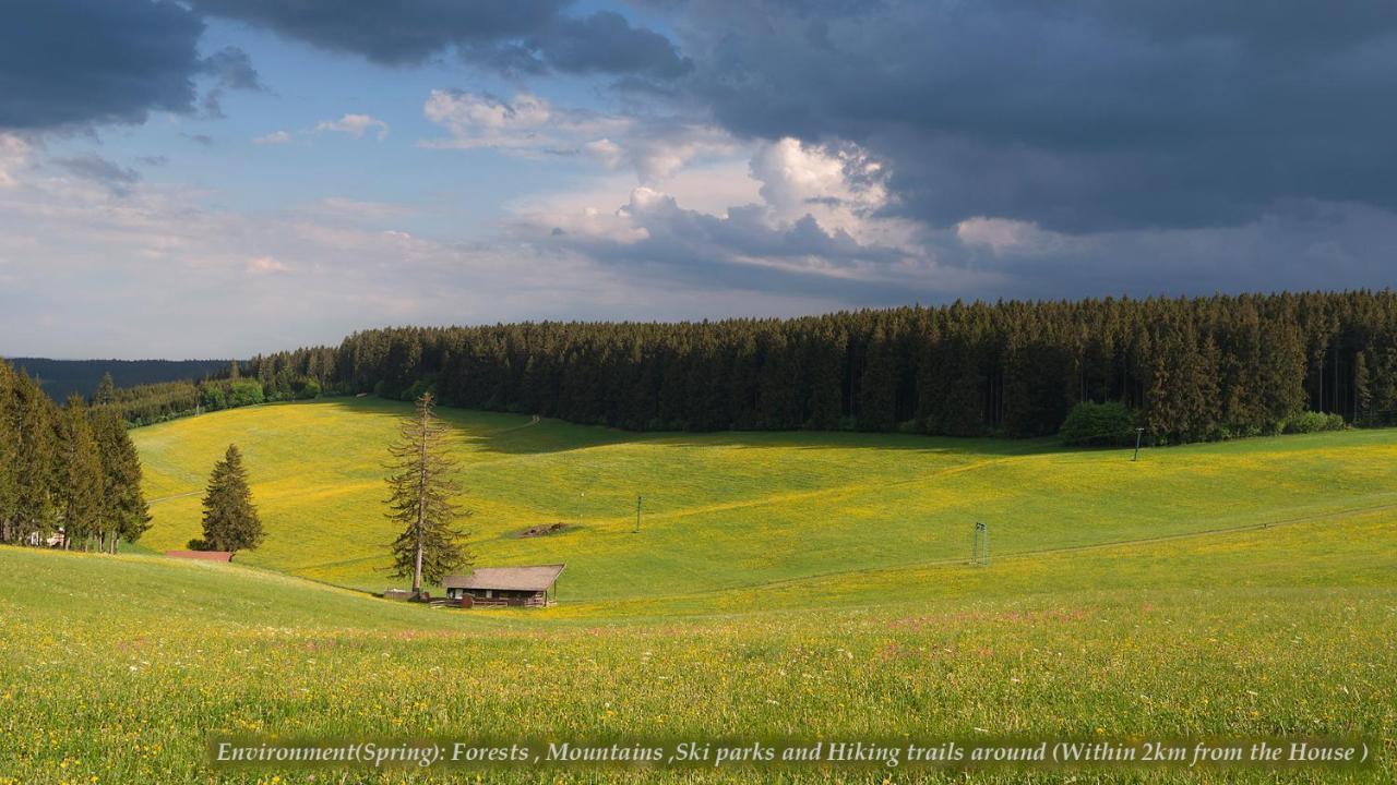 Entire House In Schwarzwald With Mountain View, Private Gym,Sauna And Garden Villa Unterkirnach Ngoại thất bức ảnh