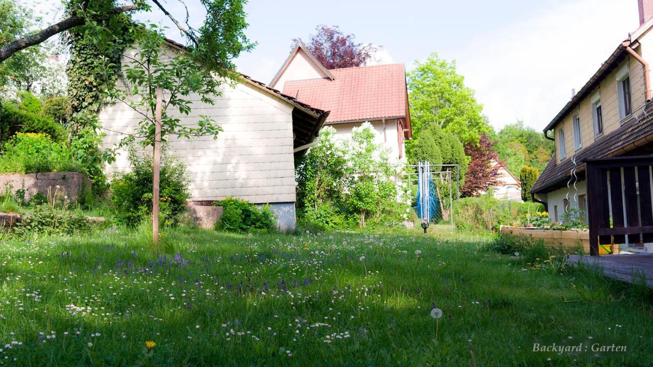 Entire House In Schwarzwald With Mountain View, Private Gym,Sauna And Garden Villa Unterkirnach Ngoại thất bức ảnh