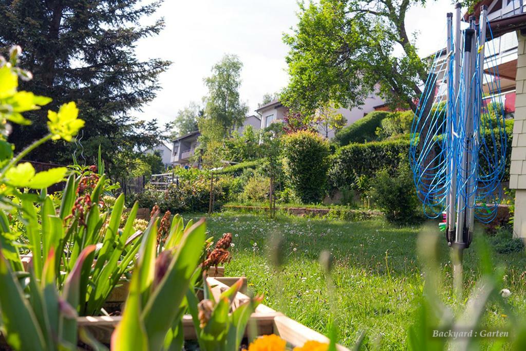 Entire House In Schwarzwald With Mountain View, Private Gym,Sauna And Garden Villa Unterkirnach Ngoại thất bức ảnh